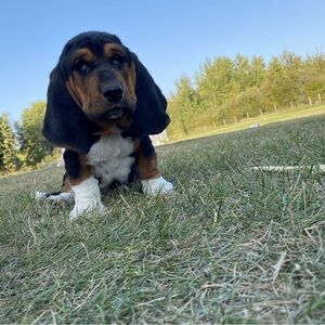 Meet your Posher, Aiden